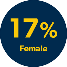 一些、多样性、股本和包含17%的女性形象